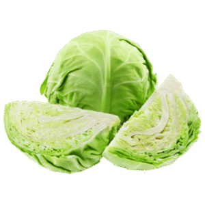Repollo Verde