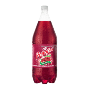 Peñafiel Agua Mineral de Manantial Arándano 2 L