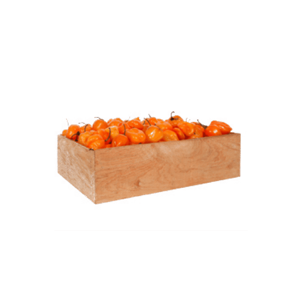 Chile Habanero Naranja