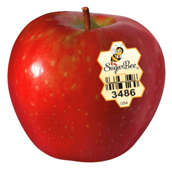 Manzana Sugarbee