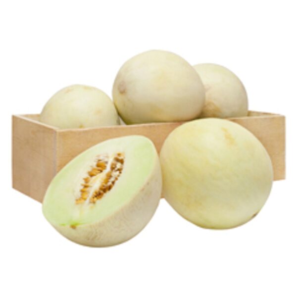 Melón Valenciano
