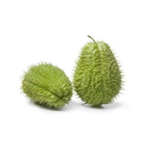 Chayote con Espinas