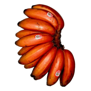 Plátano Morado