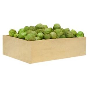 Tomatillo Milpero