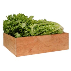 Lechuga Escarola Nal 1 Pz