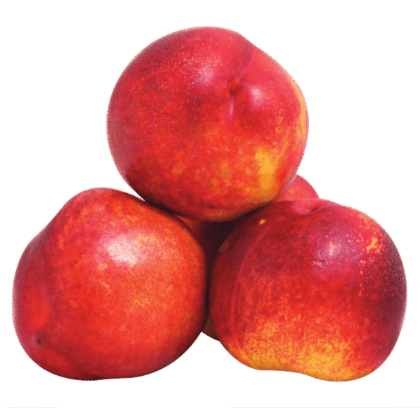 Nectarina