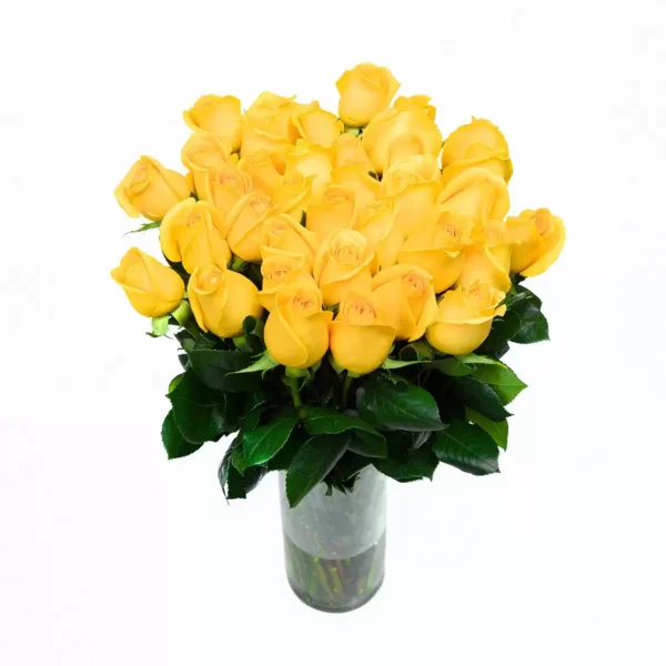 Bouquet de 24 Rosas Varios Colores  - Image 4