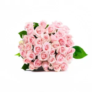 Bouquet de 24 Rosas Varios Colores 