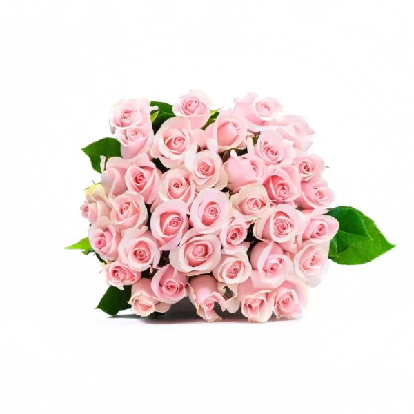 Bouquet de 24 Rosas Varios Colores 