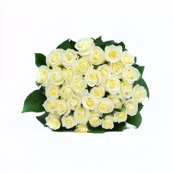 Bouquet de 24 Rosas Varios Colores  - Image 2