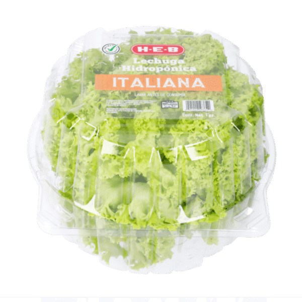 HEB Lechuga Italiana Hidropónica