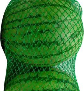 Mini Sandia 2 pzas
