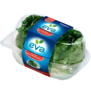 Eva Lechuga Mini Romaine 8 pzas